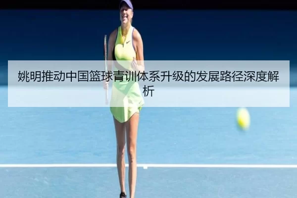 姚明推动中国篮球青训体系升级的发展路径深度解析